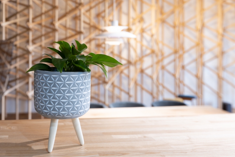 素材の多様性と家具が紡ぐ、理想の住まいのヒント