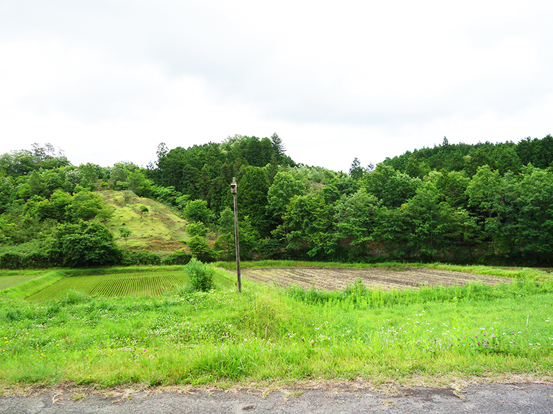 ふくふく牧場①