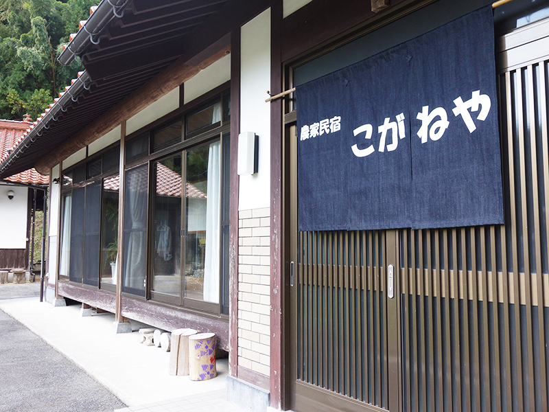 今本豊さん、千草さん⑤