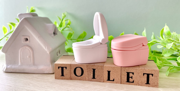 TOILETと書かれたブロックの上にミニチュアのトイレが2個並んでいる