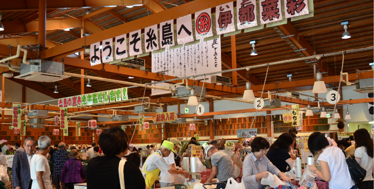 糸島の産地直売所「伊都菜彩（JA糸島産直市場）」