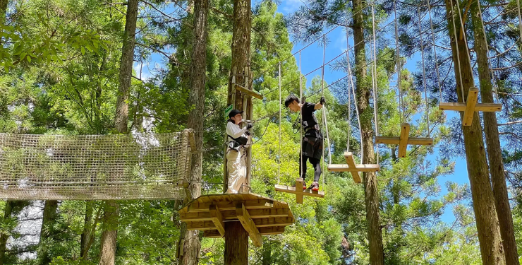 もみのき森林公園　フォレストアドベンチャー