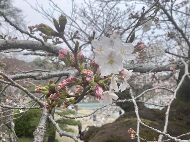 新しい始まりの季節