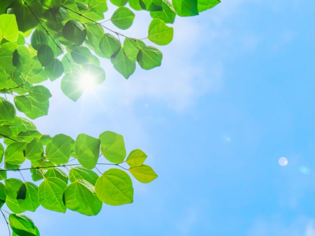 お家で出来る来年に向けた花粉対策