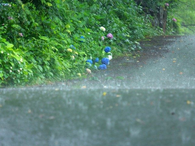 大雨に備えて出来ることを紹介します