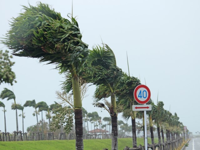 台風に備えた対策を紹介
