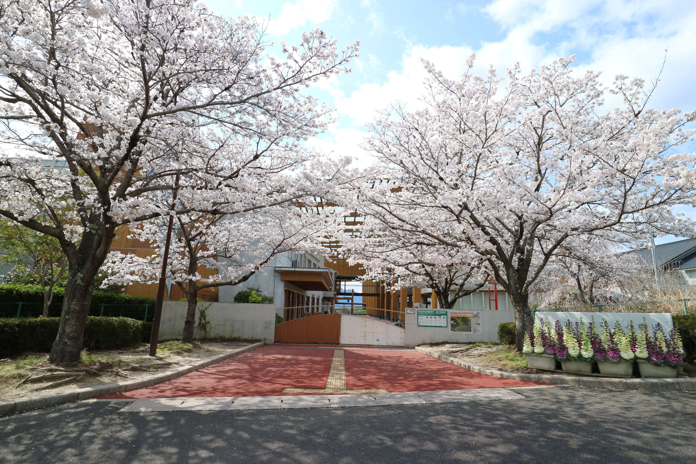 廿日市市平良小学校へ550m（徒歩7分）