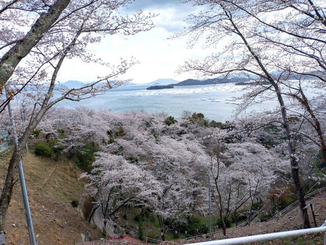 瀬戸内海と花と団子