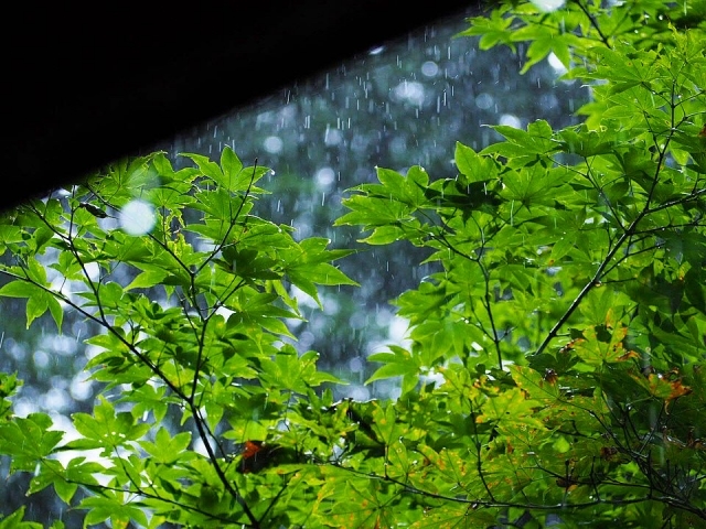 快適な生活のための梅雨に向けた対策