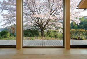 桜の木とともに暮らす家