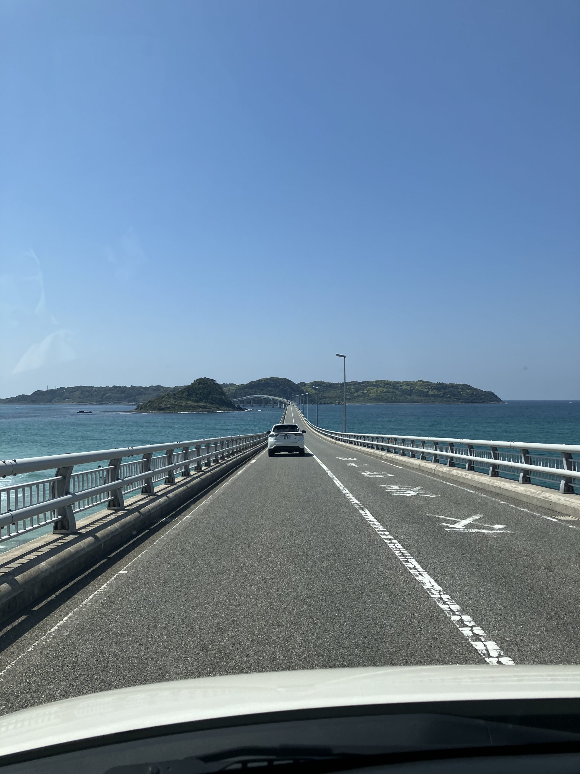 夏到来