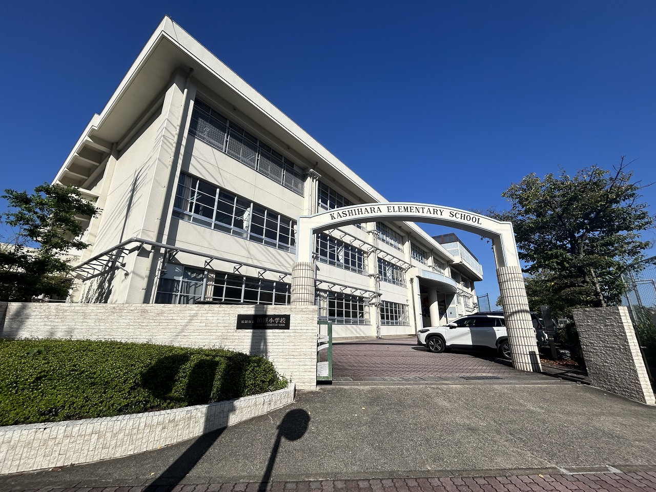 柏原小学校