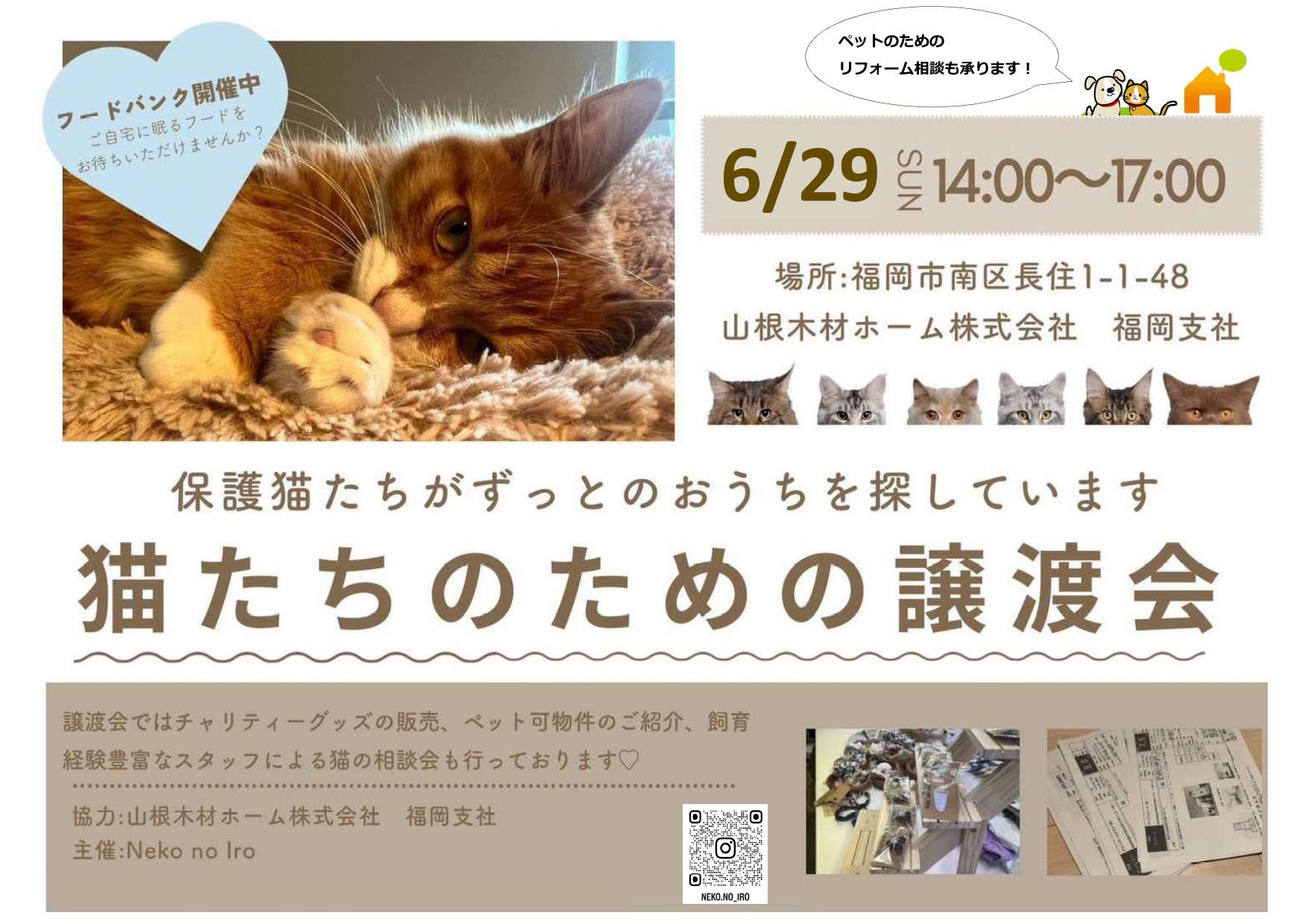 第２回保護猫の譲渡会を開催いたします！