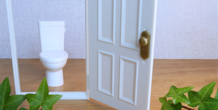 ミニチュアのトイレの前に開かれたドアが置かれている