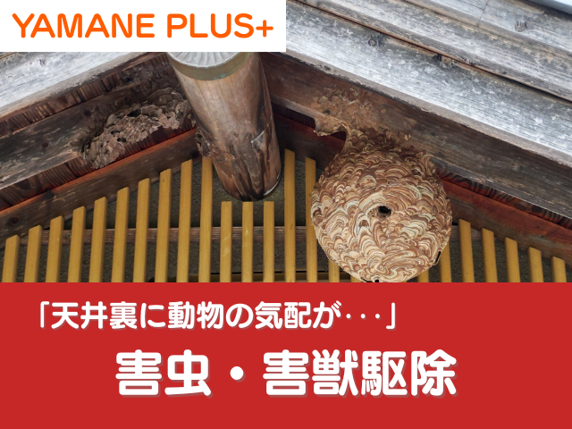 害虫・害獣駆除