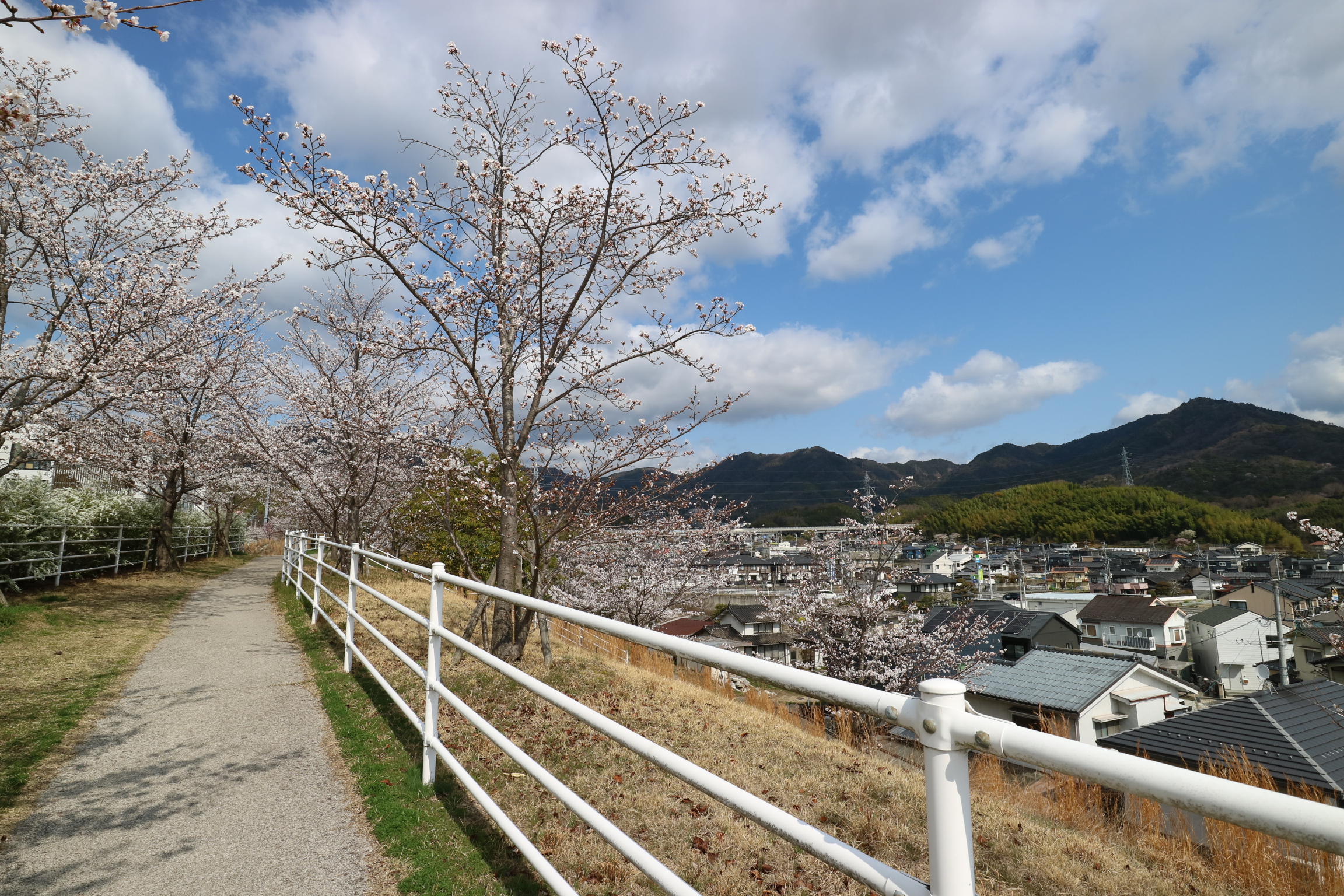 住み継がれる、山根木材の家